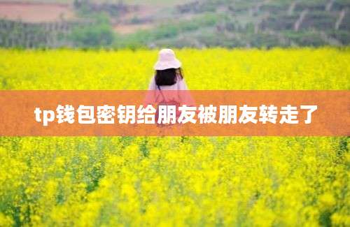 tp钱包密钥给朋友被朋友转走了
