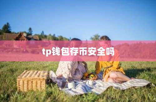 tp钱包存币安全吗