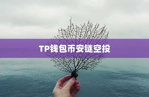 TP钱包币安链空投