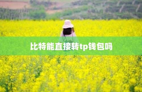 比特能直接转tp钱包吗