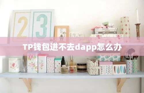 TP钱包进不去dapp怎么办