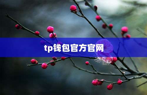 tp钱包官方官网