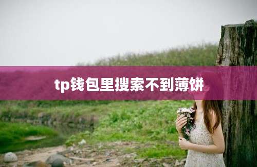 tp钱包里搜索不到薄饼