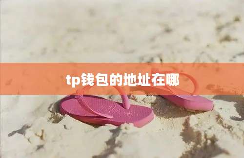 tp钱包的地址在哪