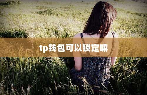 tp钱包可以锁定嘛
