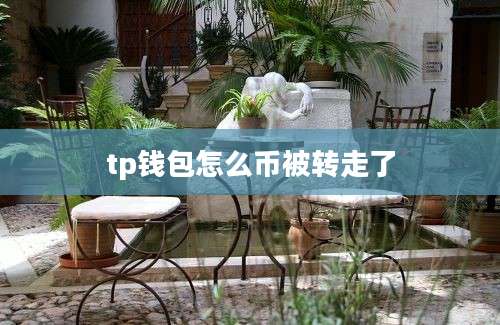 tp钱包怎么币被转走了