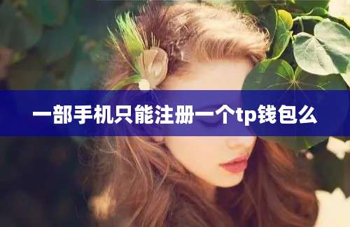 一部手机只能注册一个tp钱包么