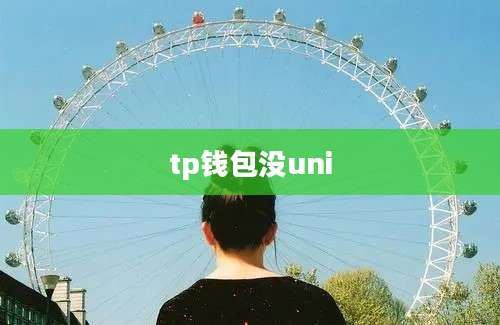 tp钱包没uni