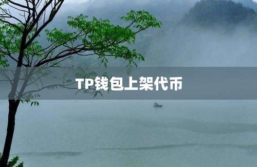TP钱包上架代币