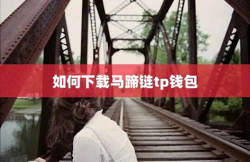 如何下载马蹄链tp钱包