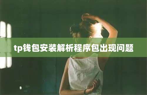 tp钱包安装解析程序包出现问题