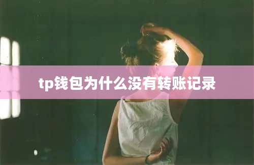 tp钱包为什么没有转账记录