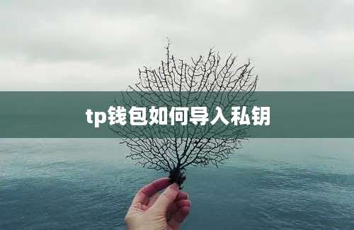 tp钱包如何导入私钥