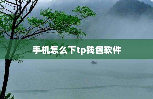 手机怎么下tp钱包软件