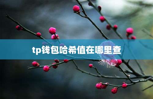 tp钱包哈希值在哪里查