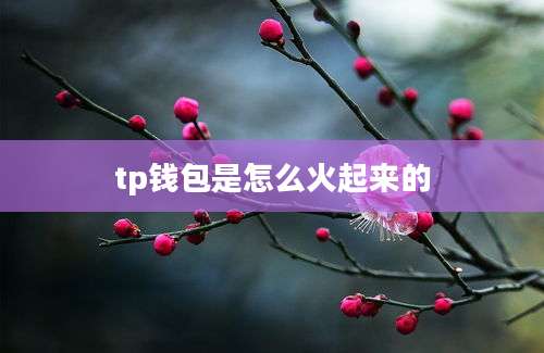 tp钱包是怎么火起来的