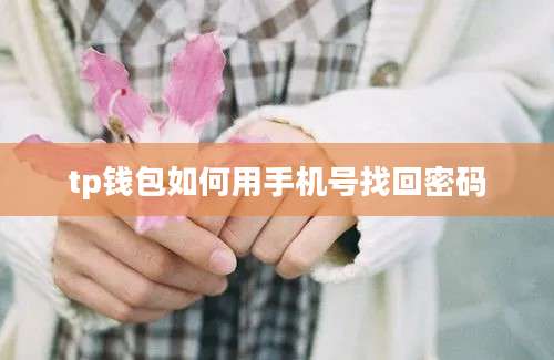 tp钱包如何用手机号找回密码