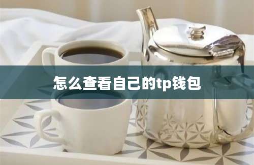 怎么查看自己的tp钱包
