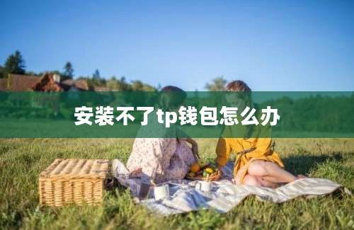 安装不了tp钱包怎么办