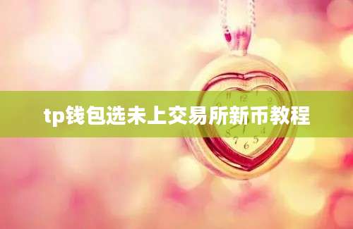tp钱包选未上交易所新币教程
