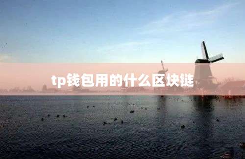 tp钱包用的什么区块链