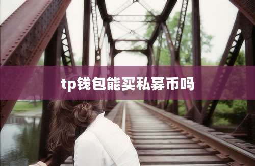 tp钱包能买私募币吗