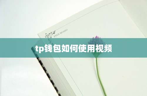 tp钱包如何使用视频