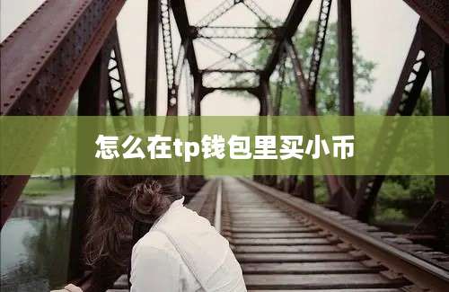 怎么在tp钱包里买小币