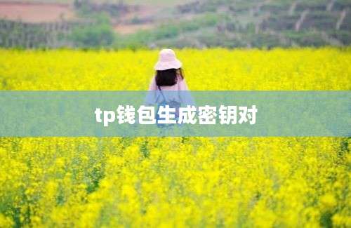 tp钱包生成密钥对