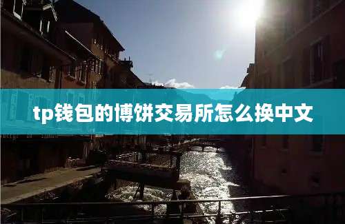tp钱包的博饼交易所怎么换中文