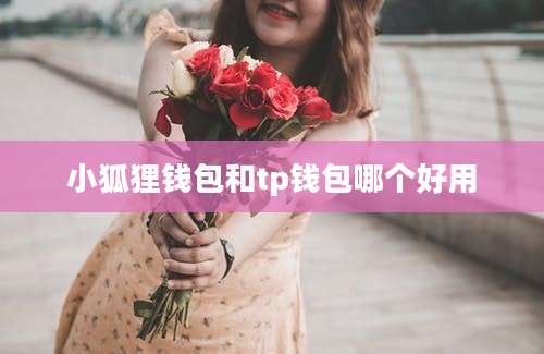 小狐狸钱包和tp钱包哪个好用