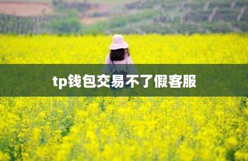 tp钱包交易不了假客服