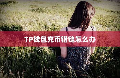 TP钱包充币错链怎么办