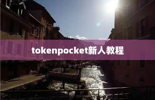 tokenpocket新人教程