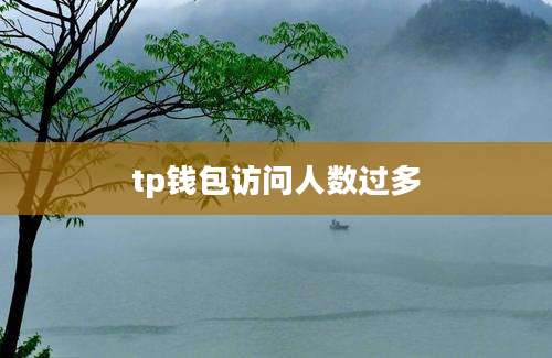 tp钱包访问人数过多