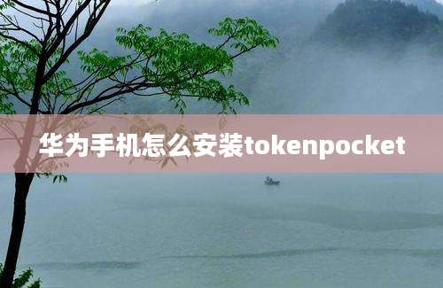 华为手机怎么安装tokenpocket