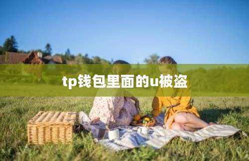 tp钱包里面的u被盗