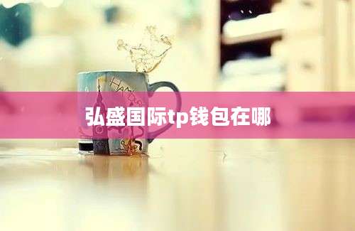 弘盛国际tp钱包在哪