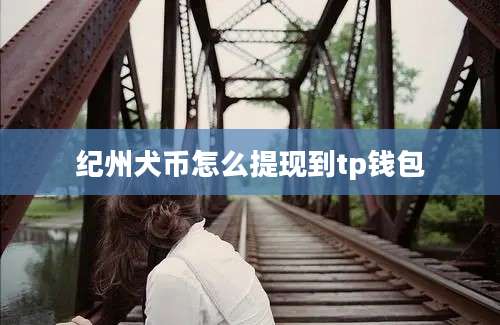 纪州犬币怎么提现到tp钱包