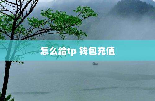怎么给tp 钱包充值