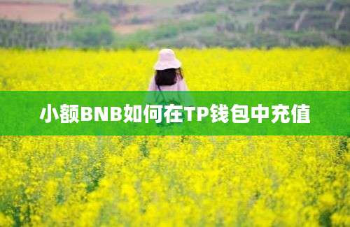 小额BNB如何在TP钱包中充值