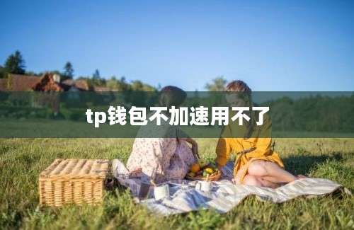 tp钱包不加速用不了