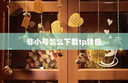 非小号怎么下载tp钱包