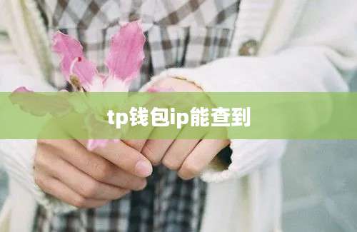 tp钱包ip能查到