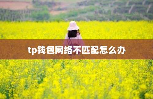 tp钱包网络不匹配怎么办