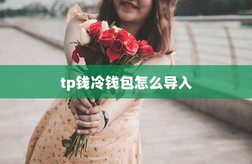 tp钱冷钱包怎么导入