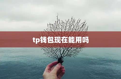 tp钱包现在能用吗