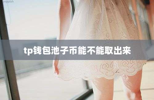 tp钱包池子币能不能取出来