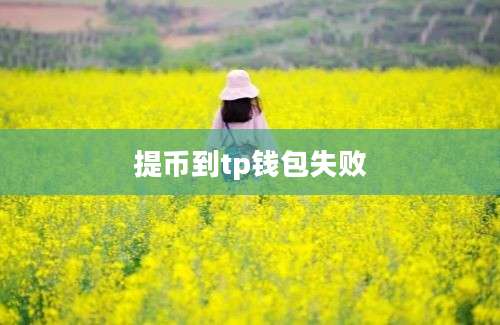 提币到tp钱包失败