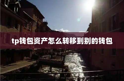 tp钱包资产怎么转移到别的钱包